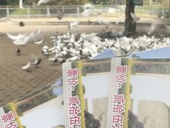 -柳州市动物园