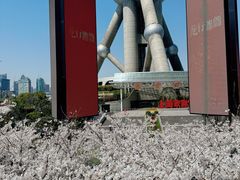 -东方明珠广播电视塔