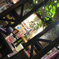 点击看大图 -藤野造型
