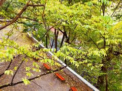 -北京上方山国家森林公园