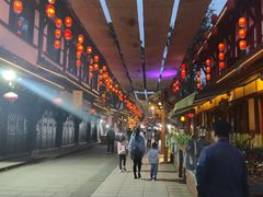 -峨眉山世纪阳光大酒店(峨眉高铁站店)