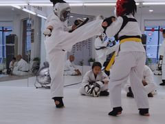 -极真空手道修远道场