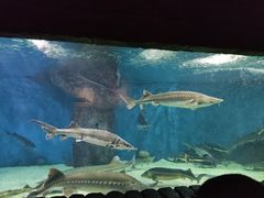 -多彩贵州城极地海洋世界