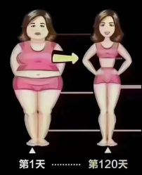 -香薇妮丝·定制减肥·身材管理