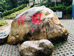 -武汉大学-樱园