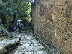 -杨家堂村