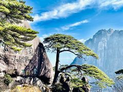 -黄山风景区