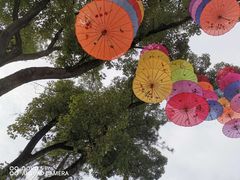 -常德桃花源景区