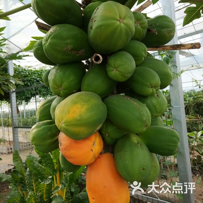 宝山湖生态农业园