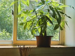 -贵州沾水米线(学田湾店)