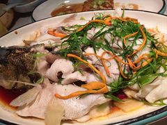 -大榕树下顺德菜(融创茂店)