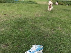 -钟山体育运动公园