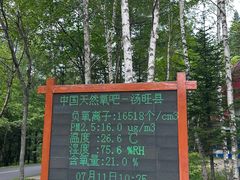 -汤旺河林海奇石景区