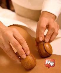 -健身堂科技美肌SPA