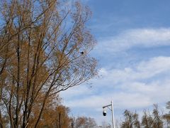 -野鸭湖国家湿地公园