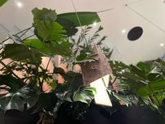 -渔芙南(三里屯店)