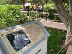 -洛阳市隋唐城遗址植物园
