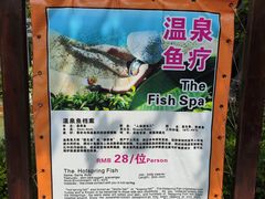 -张家港金凤凰度假村温泉