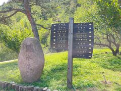 -金龙寺国家森林公园