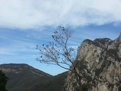 20141102_111340(1)-嵩山少林文化旅游景区