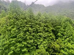 -青城山