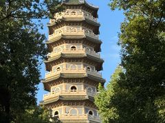 -灵谷景区