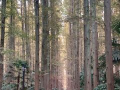 -上海怡沁园度假酒店