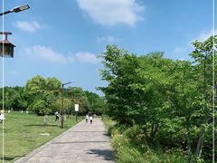 -苏州太湖国家湿地公园