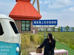 -杭州湾海上花田景区