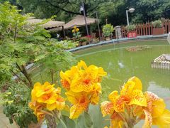 -乖乖佳花园山庄·私房菜(阿哈湖公园店)
