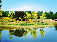-东郊湿地公园