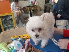 -平行世界·猫咖(首经贸店)