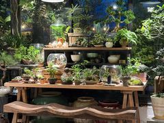 -自由生长植物工作室(深港花卉中心店)