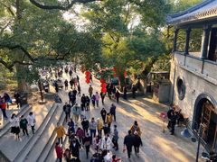 -溪口-滕头旅游景区