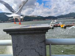 -海埂大坝