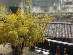 -31号公馆(黄兴广场白果园店)