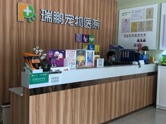 -瑞鹏宠物医院·骨科·猫科·内科(第一中心)