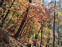 -三块石国家森林公园