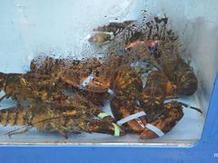 -麦德龙(浦东店)