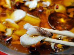 -雲蜀龙阁·金牌水煮鱼(方庄店)