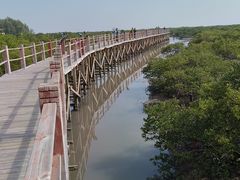 -北海金海湾红树林生态旅游区