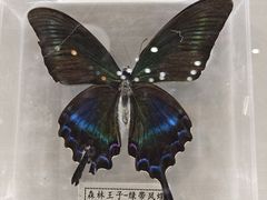 -齐齐哈尔龙沙动植物园