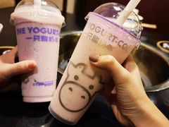 -一只酸奶牛(八一路店)