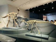 -自贡恐龙博物馆