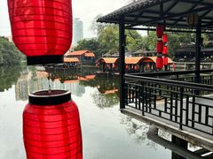 -侨美·唐荔园·40年地道粤菜