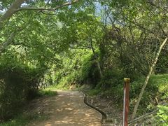 -羚羊峡古栈道森林公园