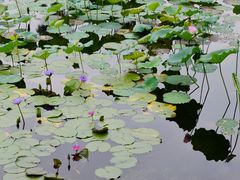 -烈士陵园(地铁站)