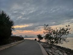 -深圳湾公园(南山区)