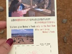 -岚山猴子公园