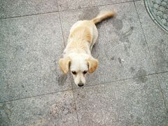 -张亮麻辣烫(中山大道店)